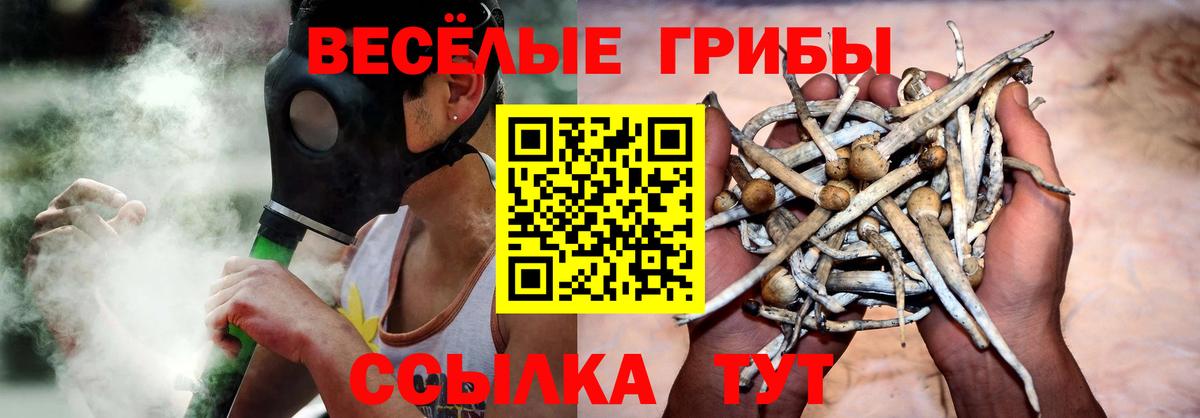 как найти   Галлюциногенные грибы ЛСД  Вход с VPN  Печора  Галлюциногенные грибы Psilocybe 